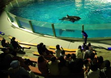 夜の水族館をワクワク探検　鴨川シーワールド「ナイトアドベンチャー」期間限定開催