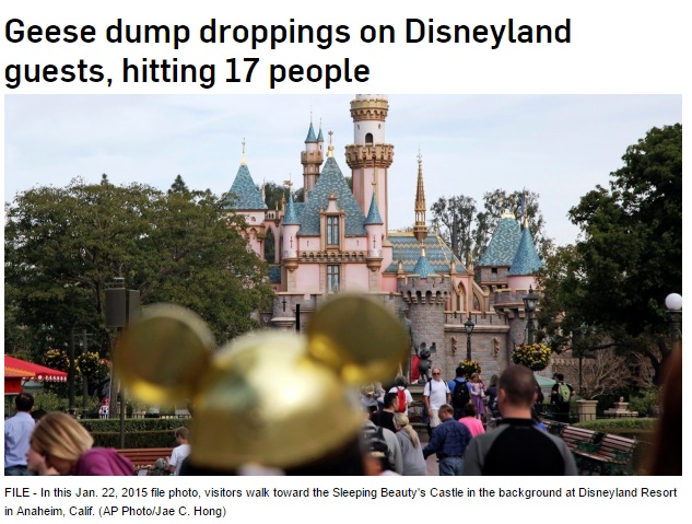 アナハイムのディズニーランドで17名が糞の被害に（画像は『CTV News 2017年6月10日付 「Geese dump droppings on Disneyland guests, hitting 17 people」（AP Photo/Jae C. Hong）』のスクリーンショット）