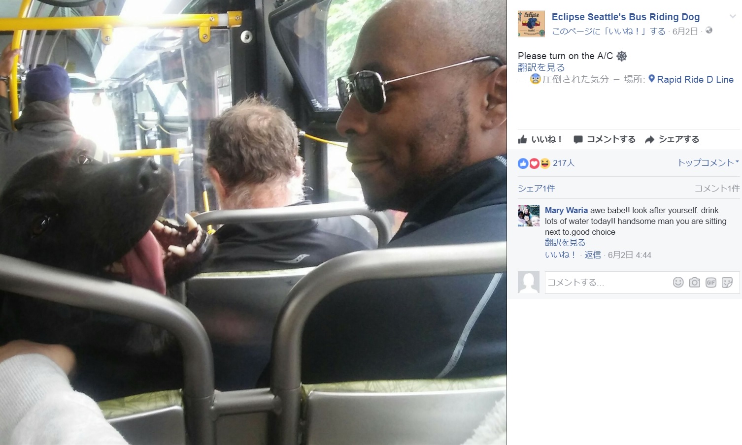 乗客に撫でられて嬉しそう（画像は『Eclipse Seattle's Bus Riding Dog 2017年6月2日付Facebook「Please turn on the A/C」』のスクリーンショット）