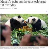 【海外発！Breaking News】竹製バースデーケーキに「1」のキャンドル　マカオの双子パンダも超可愛い