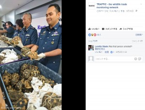 【海外発！Breaking News】絶滅危惧種のカメ300匹以上　マレーシアの空港で密輸摘発＜動画あり＞