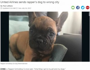 【海外発！Breaking News】ユナイテッド航空、今度は仔犬を違う便で別空港へ　「本当にメチャクチャだな」呆れる声（米）