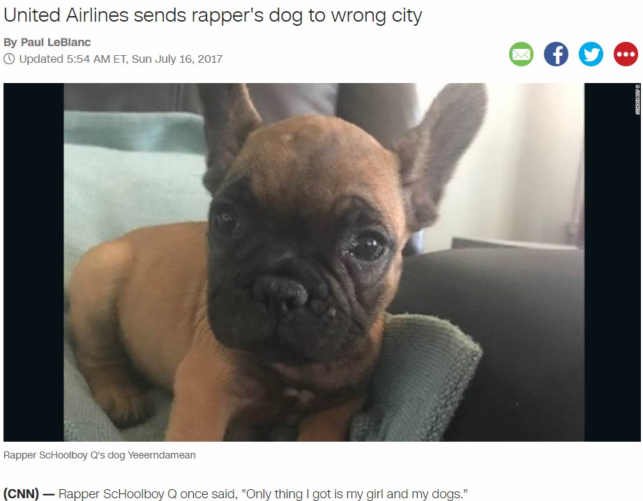 バーバンクに向かうはずがシカゴに到着してしまった犬（画像は『CNN　2017年7月16日付「United Airlines sends rapper's dog to wrong city」』のスクリーンショット）