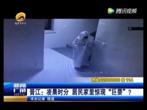【海外発！Breaking News】防犯カメラに気づいた泥棒　オバケに扮して逃げるも逮捕（中国）