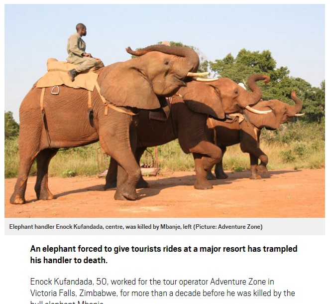 国立公園の象が大暴れ（画像は『Metro　2017年7月25日付「Elephant forced to give rides to tourists tramples handler to death」（Picture: Adventure Zone）』のスクリーンショット）