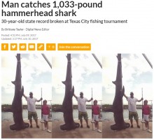 【海外発！Breaking News】468kgのシュモクザメを釣った男性　引き揚げに3時間（米）