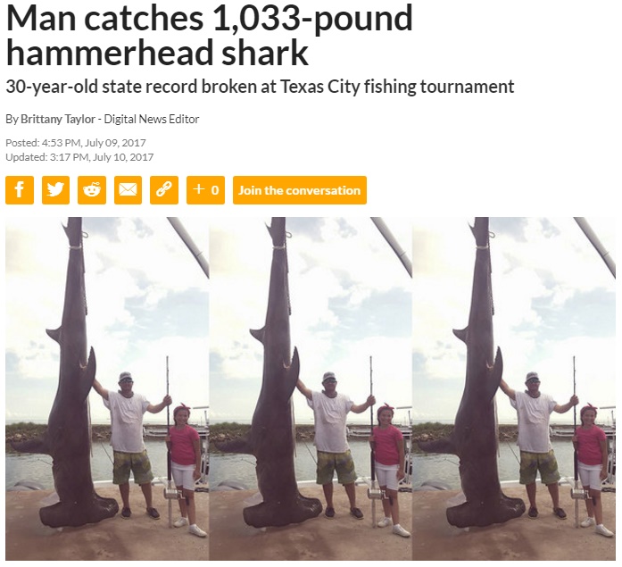 メキシコ湾で開催の大物釣り大会でシュモクザメ（画像は『KSAT 12　2017年7月10日付「Man catches 1,033-pound hammerhead shark」』のスクリーンショット）