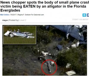【海外発！Breaking News】沼地に墜落した小型飛行機　振り落とされたパイロットはワニの餌に（米）