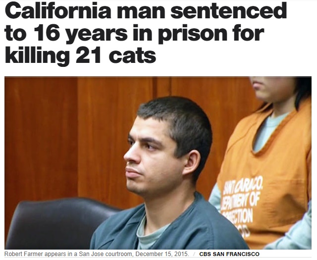 元警察署長の息子、ネコ連続虐待致死事件で懲役16年（画像は『CBS News　2017年7月15日付「California man sentenced to 16 years in prison for killing 21 cats」（CBS SAN FRANCISCO）』のスクリーンショット）