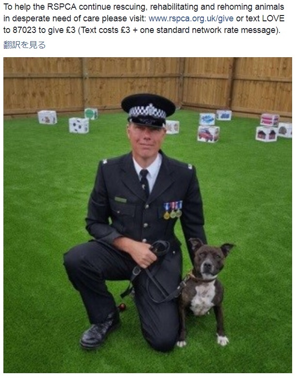 捨てられた犬が爆発物探知犬として活躍することに（画像は『Wiltshire Police　2017年6月30日付Facebook「Everyone meet Police Dog Roxy.」』のスクリーンショット）