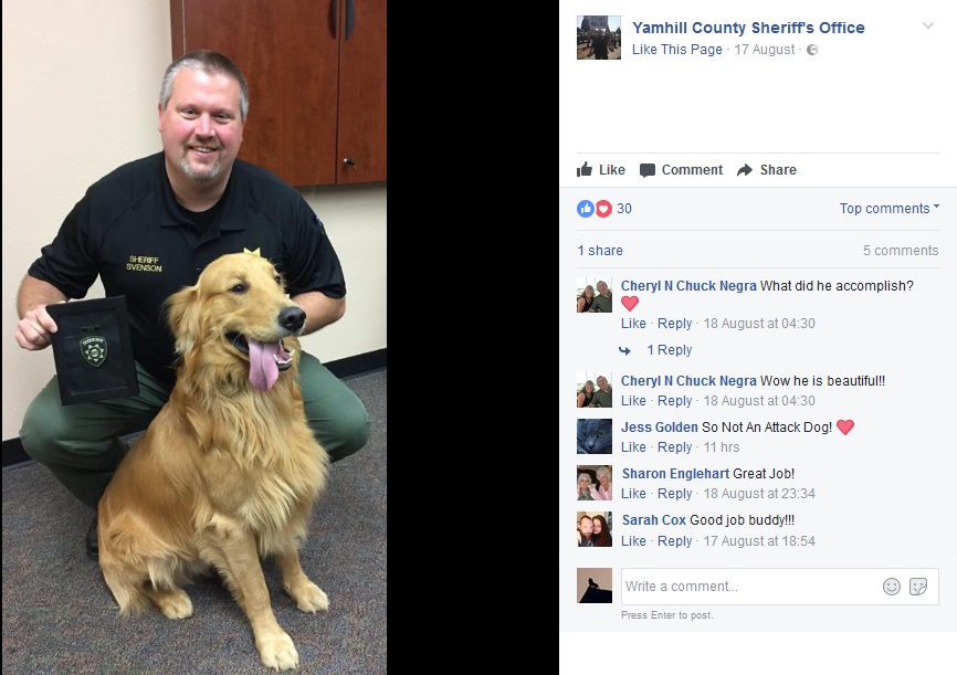 ヘロインを掘り当てた飼い犬に表彰状（画像は『Yamhill County Sheriff's Office　2017年8月17日付Facebook「Golden Retriever Named Honorary Narcotics K-9」』のスクリーンショット）
