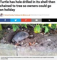 【海外発！Breaking News】ペットのカメの甲羅に穴を開けた飼い主、旅行中にワイヤーで繋ぎ庭に放置（独）