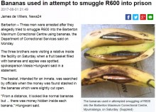 【海外発！Breaking News】バナナに現金を隠して受刑者へ差し入れようとした3兄弟、逮捕（南ア）