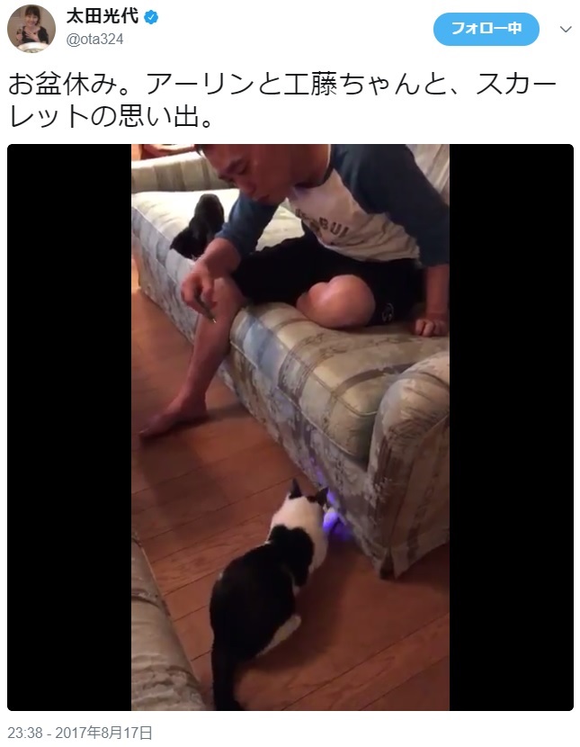 猫と遊ぶ太田光（画像は『太田光代　2017年8月17日付Twitter「お盆休み。アーリンと工藤ちゃんと、スカーレットの思い出。」』のスクリーンショット）