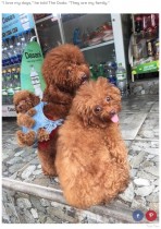 【海外発！Breaking News】親が子犬を背負うバックパックが可愛いすぎる　お出かけにも便利（ベトナム）