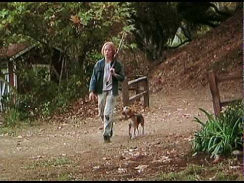 映画『シャイロ』の子役、ブレーク・ハーロンが35歳で急逝（画像は『ReelDogs　2009年12月17日公開 YouTube「Shiloh（1996）Movie Trailer（Beagle dog）」』のサムネイル）