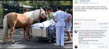 【海外発！Breaking News】「愛馬に会いたい…」女性患者の最期の願いを叶えた病院（独）