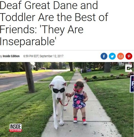 固い絆で結ばれた障がいを持つ犬と女児（画像は『Inside Edition　2017年9月12日付「Deaf Great Dane and Toddler Are the Best of Friends: ‘They Are Inseparable’」』のスクリーンショット）