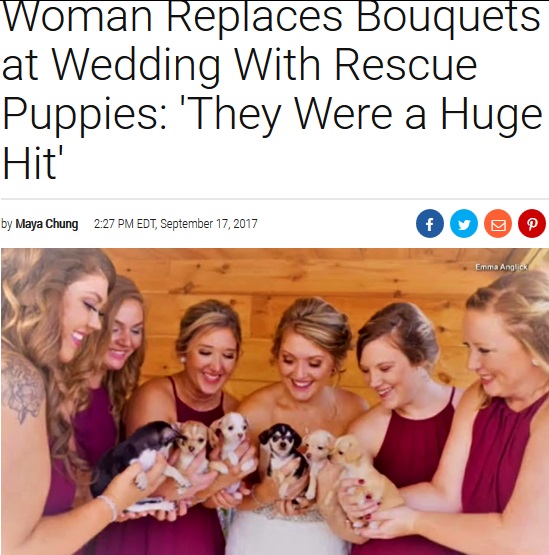 仔犬を抱いて挙式した花嫁（画像は『Inside Edition　2017年9月17日付「Woman Replaces Bouquets at Wedding With Rescue Puppies：‘They Were a Huge Hit’」』のスクリーンショット）