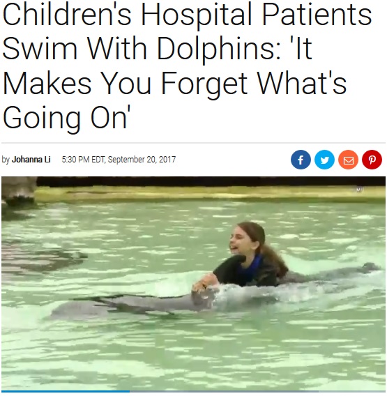 治療中の子供たちがイルカと触れ合う（画像は『Inside Edition　2017年9月20日付「Children's Hospital Patients Swim With Dolphins: ‘It Makes You Forget What's Going On’」』のスクリーンショット）