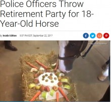 【海外発！Breaking News】18歳の警察馬に警官らが特製ケーキでリタイアパーティー開く（米）