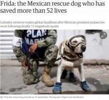 【海外発！Breaking News】メキシコ地震を含む52人以上の命を救った救助犬に称賛の嵐