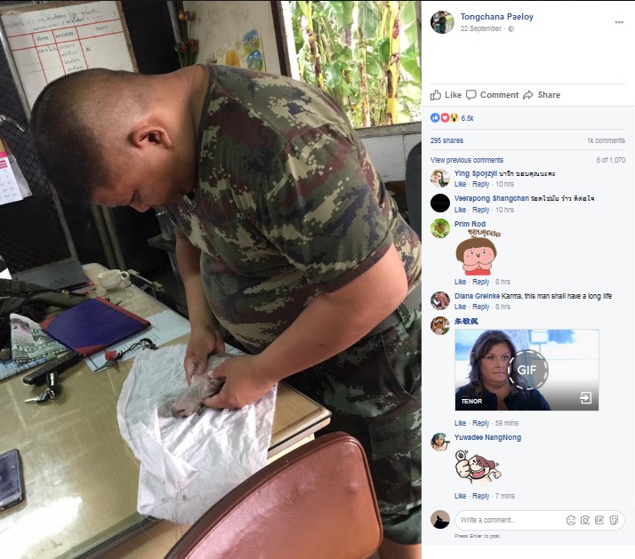 仔犬を懸命に救おうとするタイ軍兵（画像は『Tongchana Paeloy　2017年9月22日付Facebook』のスクリーンショット）
