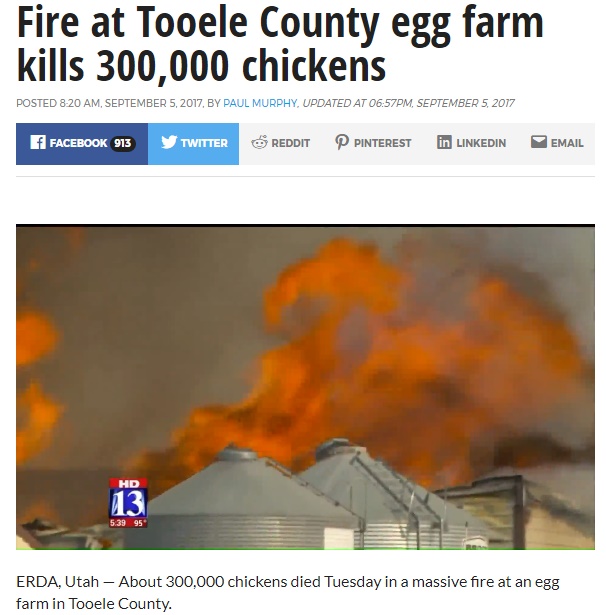 ユタ州の養鶏場で大規模な火災（画像は『KSTU-FOX 13　2017年9月5日付「Fire at Tooele County egg farm kills 300,000 chickens」』のスクリーンショット）