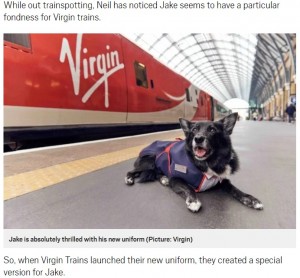 【海外発！Breaking News】電車が大好き！　14歳の老犬に鉄道会社が制服をプレゼント（英）