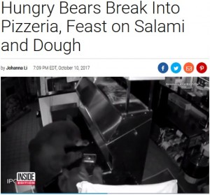 【海外発！Breaking News】空腹のクマ母子、ピザ店に侵入しサラミやピザ生地にかぶりつく（米）＜動画あり＞