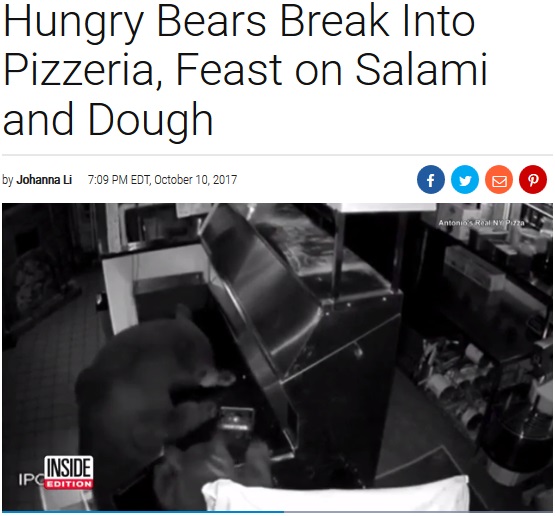 ピザ店でご馳走にありつくクマの母子（画像は『Inside Edition　2017年10月10日付「Hungry Bears Break Into Pizzeria, Feast on Salami and Dough」』のスクリーンショット）