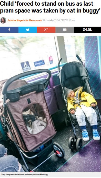 バス内のベビーカースペース巡り、怒りの母親だったが…（画像は『Metro　2017年10月11日付「Child ‘forced to stand on bus as last pram space was taken by cat in buggy’」（Picture: Mercury）』のスクリーンショット）