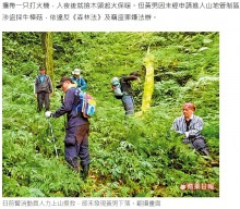 【海外発！Breaking News】山で遭難した男　1週間後に保護されるも希少キノコを採り送検（台湾）