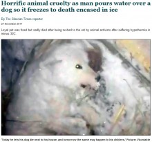 【海外発！Breaking News】犬に水をかけ－32度の屋外に放置　凍死させた飼い主に「処罰を」の声（露）