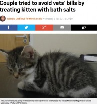 【海外発！Breaking News】「獣医は高い」飼い猫に人間の薬を与えたカップルに動物飼育禁止令（英）