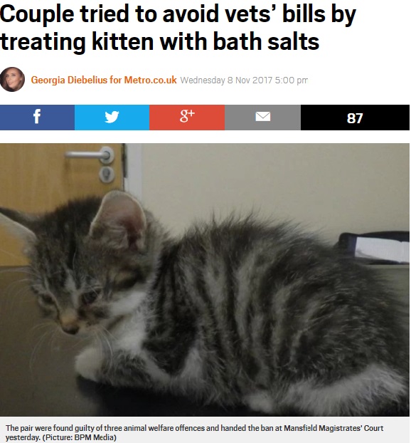 猫を動物病院に連れて行かずに治療を試みたカップルに飼育禁止令（画像は『Metro　2017年11月8日付「Couple tried to avoid vets’ bills by treating kitten with bath salts」（Picture: BPM Media）』のスクリーンショット）