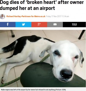 【海外発！Breaking News】空港で捨てられた犬、飼い主を待ち続けるも息絶える（コロンビア）