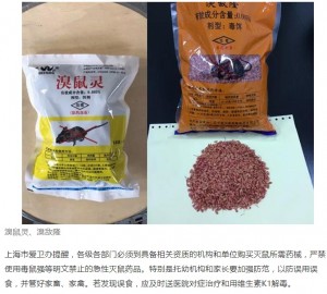 【海外発！Breaking News】犬猫の飼い主は真っ青　上海市が「全市すみずみまで殺鼠剤を撒く」と決定
