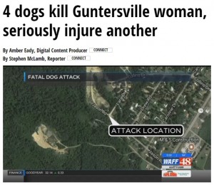 【海外発！Breaking News】犬4頭に襲われ2名が死傷　近隣住民は1年前から不安を口に（米）