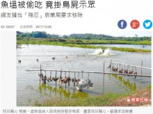 【海外発！Breaking News】鳥害対策のため、鳥の死骸を吊るした養殖業者に批判殺到（台湾）