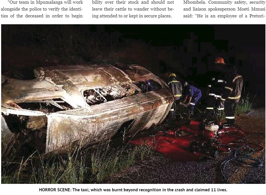 ミニバスと牛が衝突し11名が死亡（画像は『PressReader　2017年12月4日付「11 die in horror taxi crash」』のスクリーンショット）
