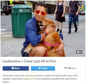 【海外発！Breaking News】NYマンハッタンのマスコット犬の家が火事に　犬と飼い主に寄付金続々集まる＜動画あり＞