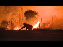 【海外発！Breaking News】米加州の山火事でウサギを救出した男性に批判殺到＜動画あり＞