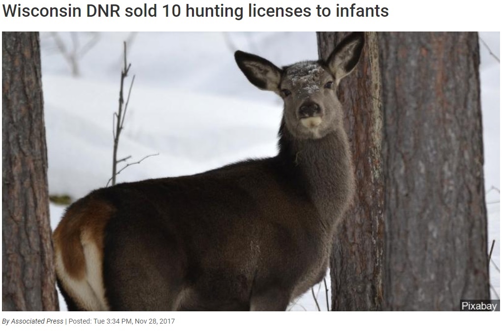 米ウィスコンシン州で子供のハンター急増!?（画像は『WSAW-TV　2017年11月28日付「Wisconsin DNR sold 10 hunting licenses to infants」（Pixabay）』のスクリーンショット）