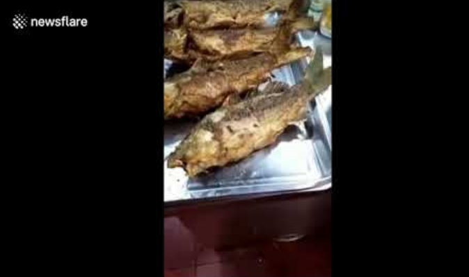 揚げた魚が元気に動く（画像は『16,999,999 views　2018年1月4日付YouTube「Fried fish moves on plate in Chinese Supermarket Restaurant」（newsflare）』のサムネイル）