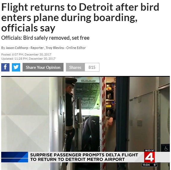 たった1羽の小鳥がコックピットに迷い込み…（画像は『ClickOnDetroit　2017年12月30日付「Flight returns to Detroit after bird enters plane during boarding, officials say」』のスクリーンショット）
