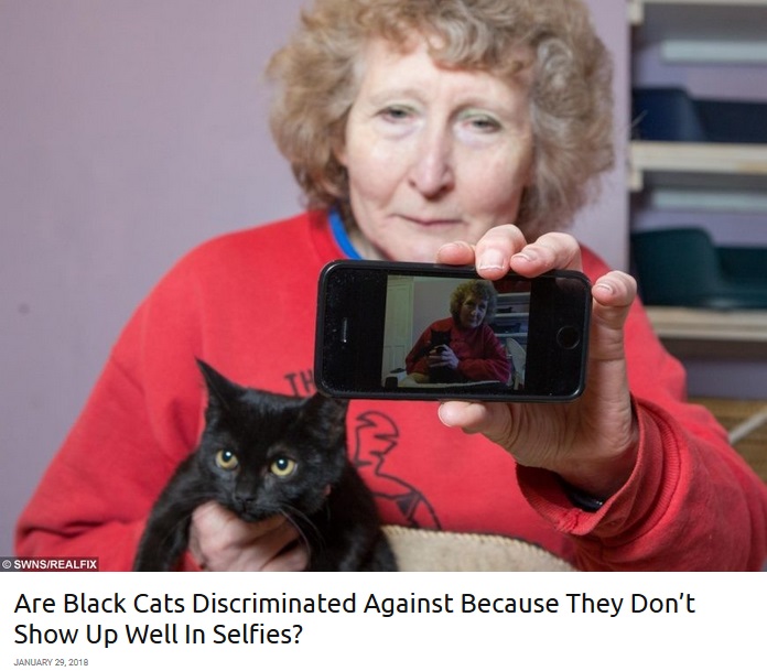 黒猫の貰い手が現れない理由は「自撮りで映えない」から？（画像は『real fix　2018年1月29日付「Are Black Cats Discriminated Against Because They Don’t Show Up Well In Selfies？」』のスクリーンショット）