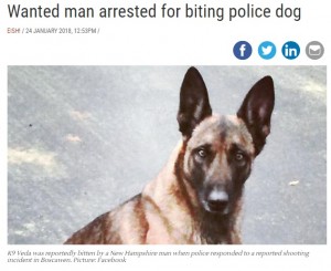 【海外発！Breaking News】発砲事件の容疑者、警察犬に噛みついて逮捕に抵抗（米）