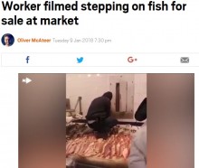 【海外発！Breaking News】売り物の魚を踏んで歩く男　NYチャイナタウンの鮮魚店ショーケースで