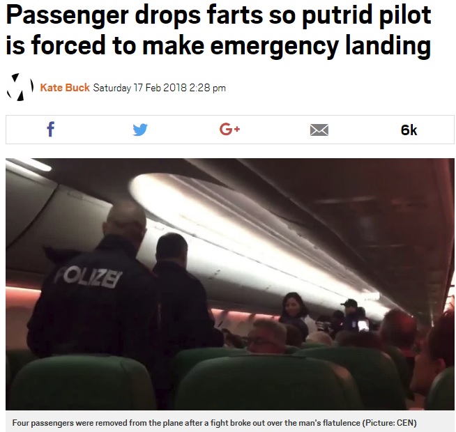 着陸後は警察官らが機内へ（画像は『Metro　2018年2月17日付「Passenger drops farts so putrid pilot is forced to make emergency landing」（Picture: CEN）』のスクリーンショット）